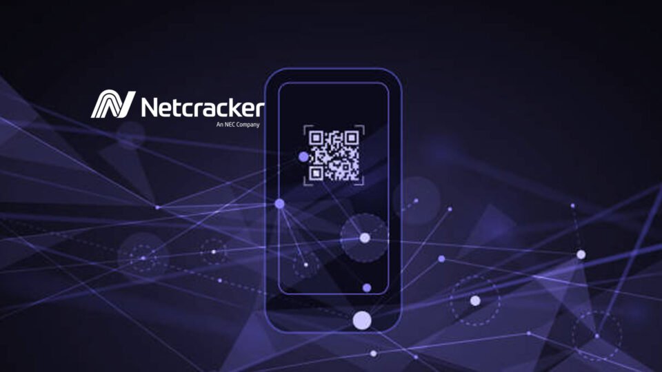 Что представляет собой компьютерная система netcracker technology