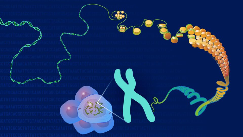 DNA Sequencing