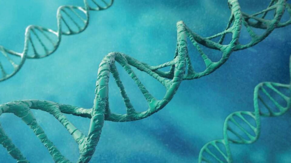 Longenesis