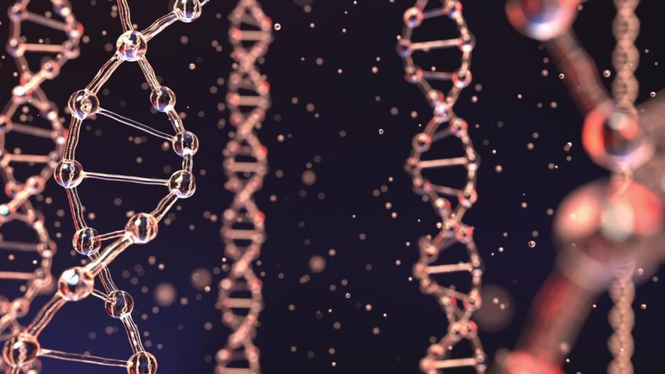 Singular Genomics Joins the 10x Genomics Compatible Partner Program