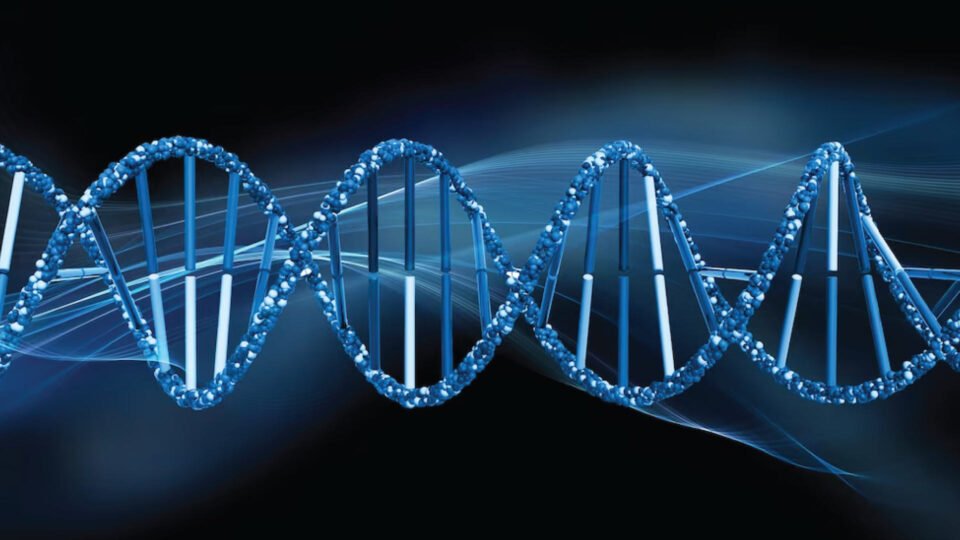 Ultima Genomics and Genome Insight Announce Collaboration