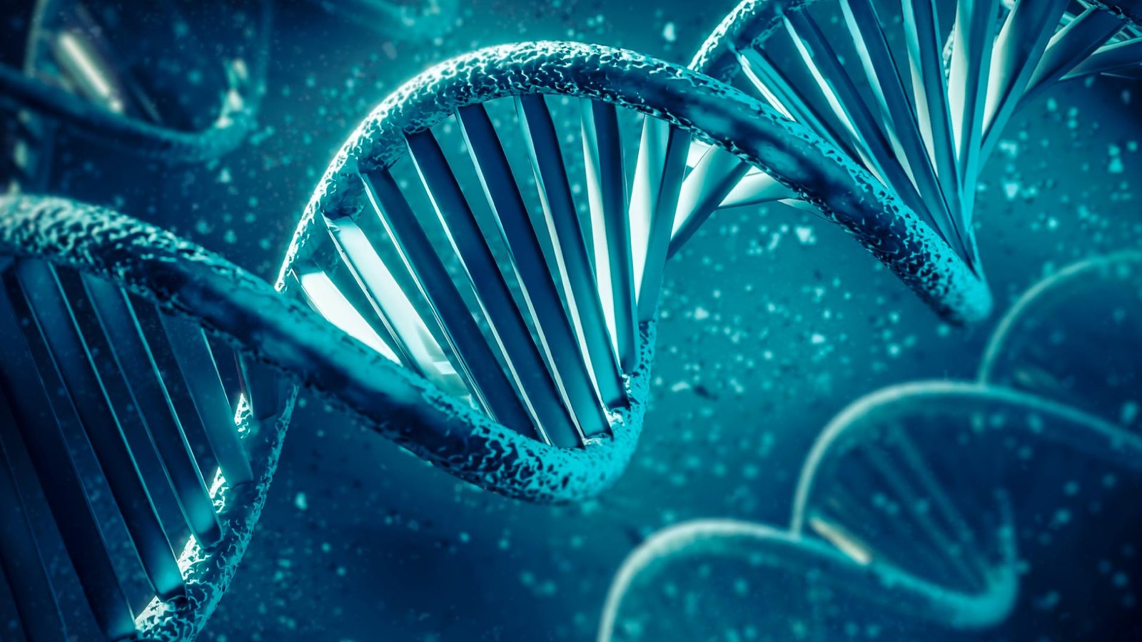 Natera Rare Disease Diagnosis Zenith Genomics whole genome sequencing