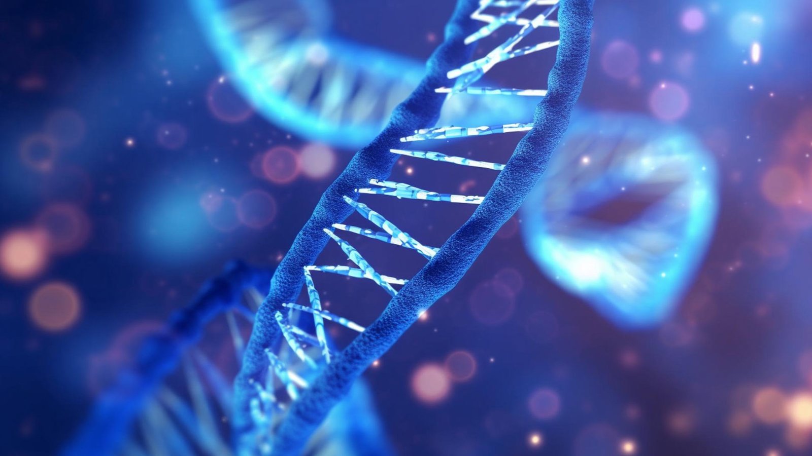 Northwestern Medicine Selects Tempus to Expand Genomic Testing