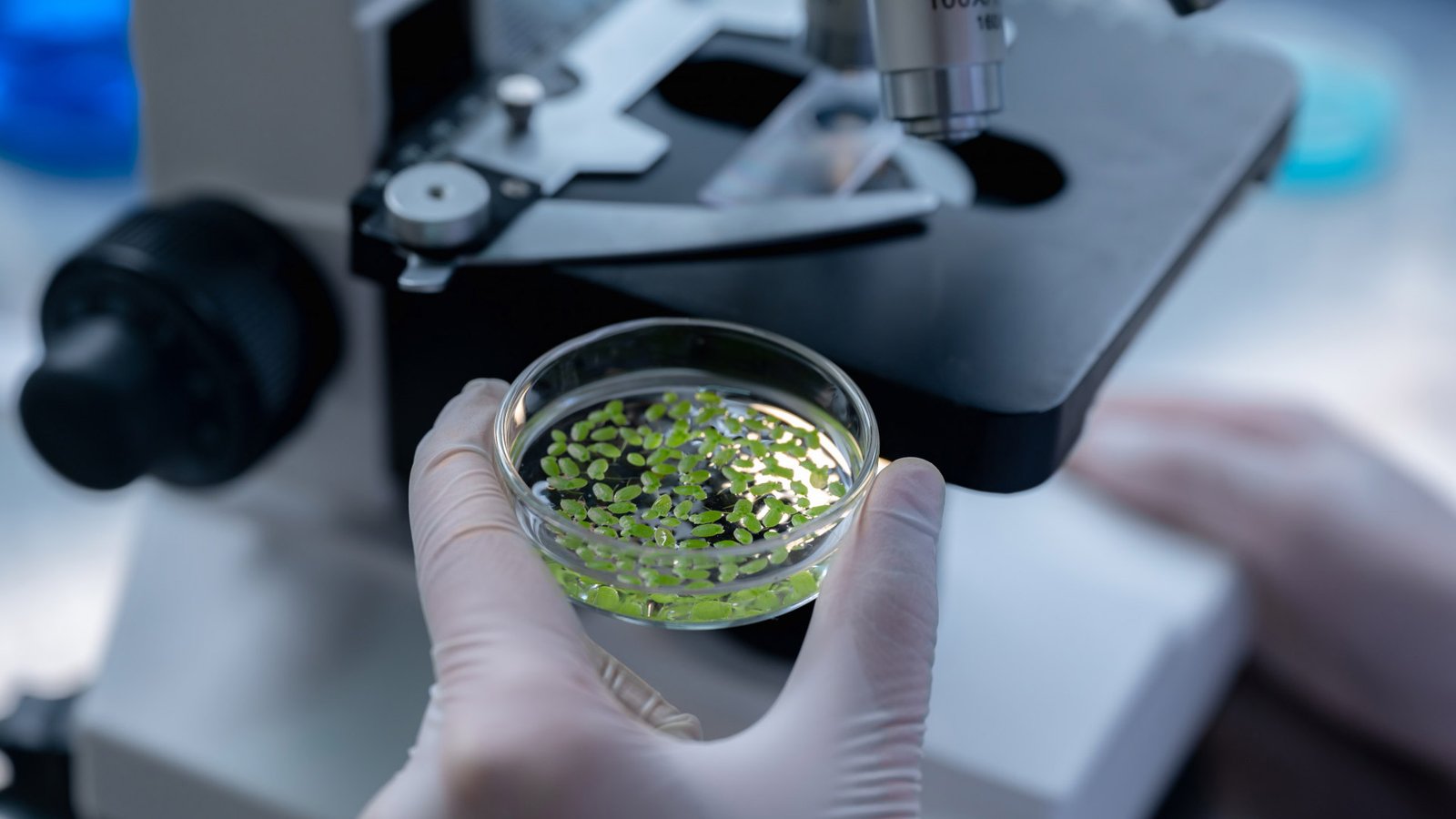 WAIV and Daiichi Sankyo AI Biomarker Delivery partnership.