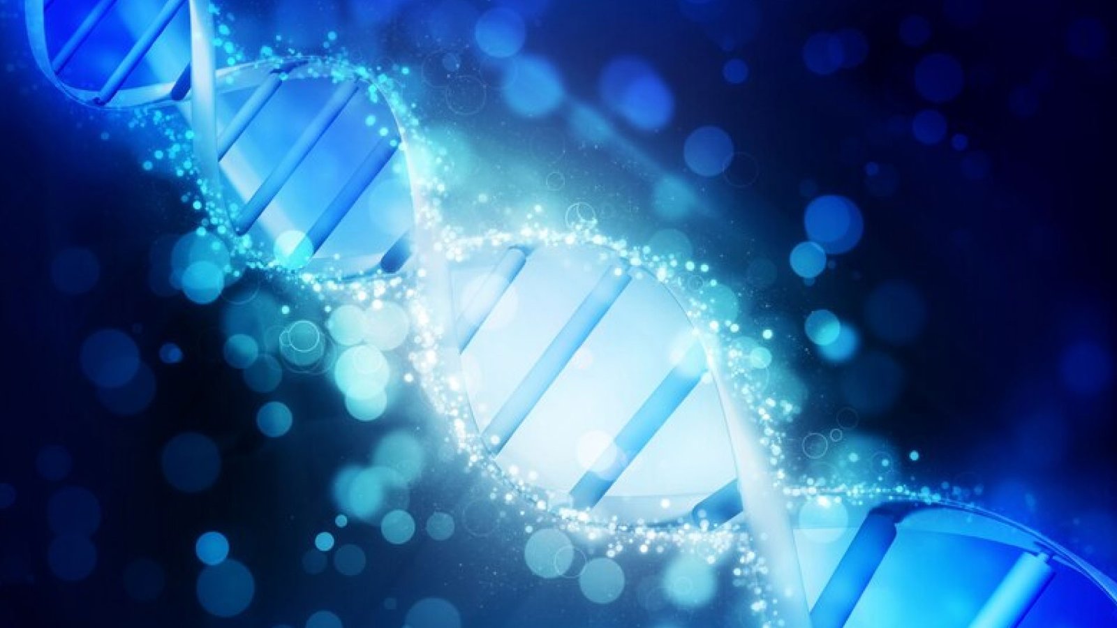 Wobble Genomics Appoints of Dr. Dietrich A. Stephan as Chairman of the BOD